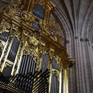 Curso de órgano Curso de órgano